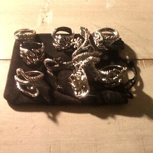 Silver Ring and Necklace Set